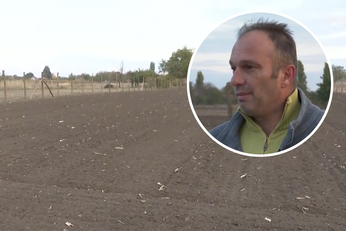 Posadio bijeli luk, cijena odlična: "Biće više nego isplativo" (VIDEO)