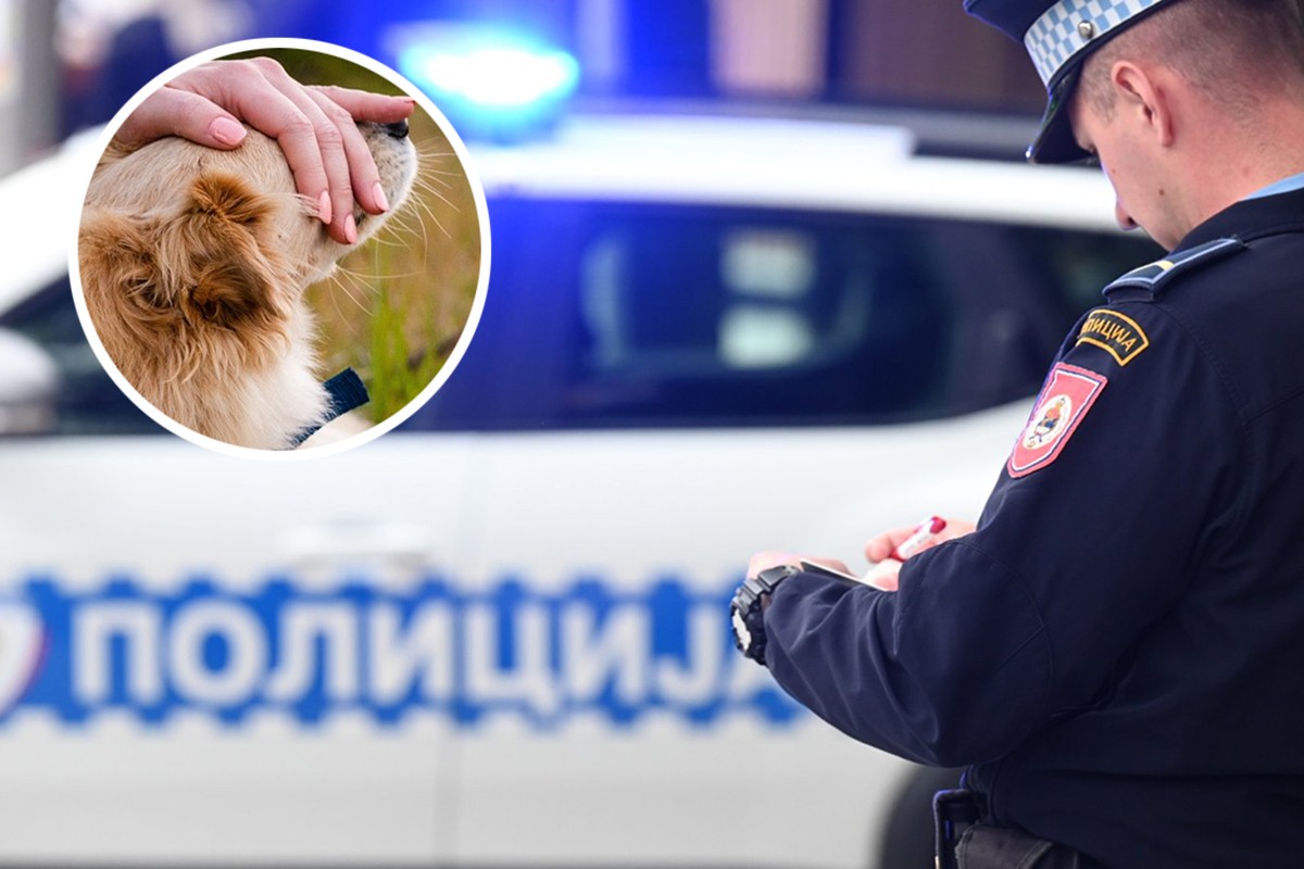 Monstruozan slučaj u Srpcu: Pas obješen o drvo