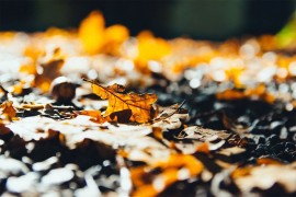 Sunčano i toplo u toku dana, naveče stiže kiša