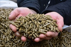 Zašto je poskupio pelet: "Jedan proizvođač prodao više od 6.000 ...