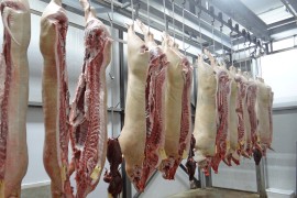 Tradicionalni svinjokolj postao luksuz: Građani kupuju tek nekoliko kg ...