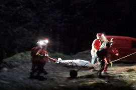Tragedija kod Žepča: Mladić poginuo tokom radova u šumi