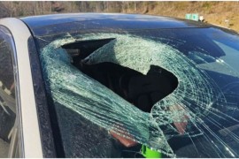 Prijavila policiji da joj je mačka pala na auto: "Najluđe što sam ...