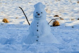 Osumnjičena da je prijetila djeci i pucala iz gasnog pištolja zbog ...