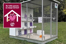 Banjaluka gradi dobru priču: Niču hoteli za mace