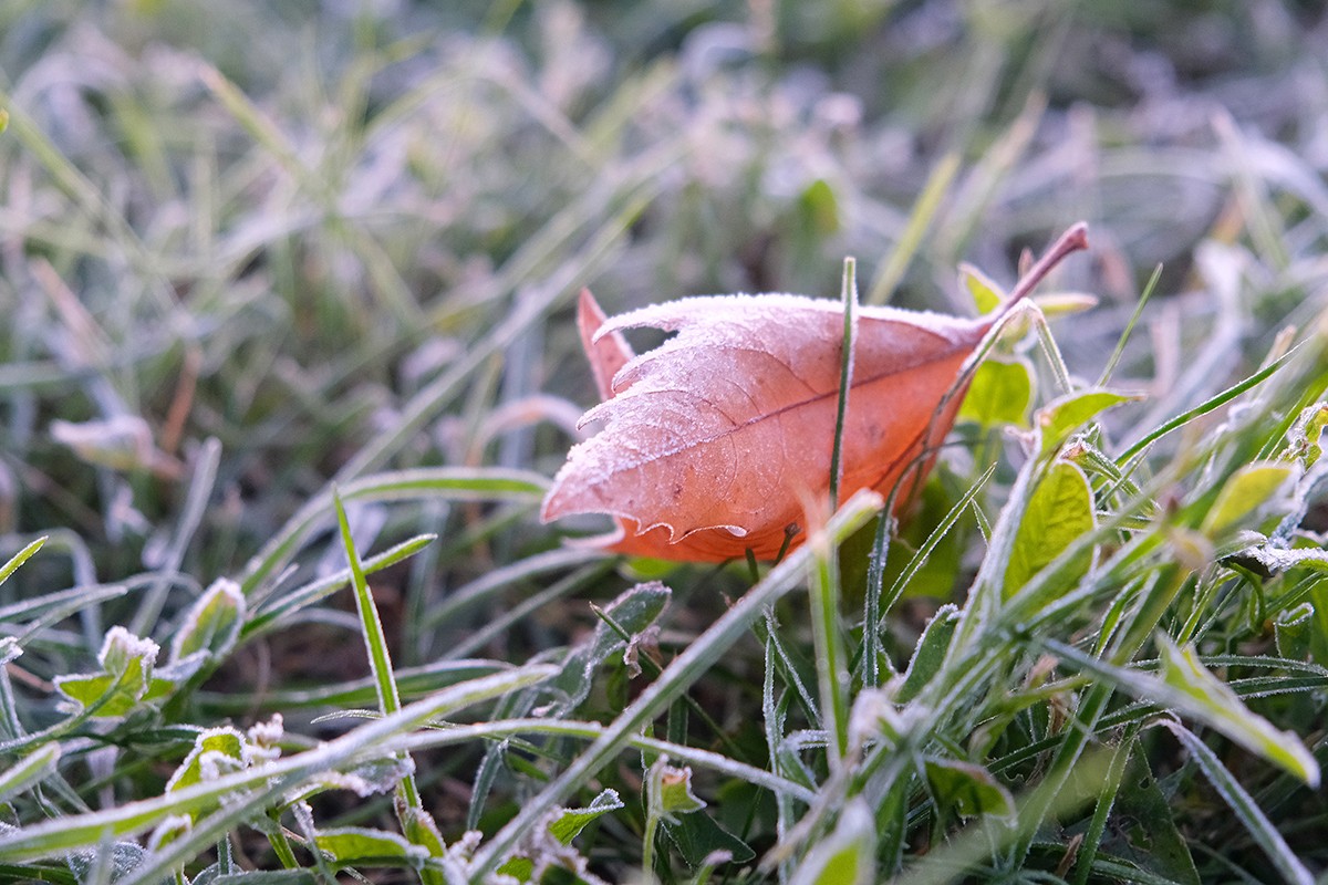 Meteorolozi objavili prognozu do petka: Najavili mraz i minus