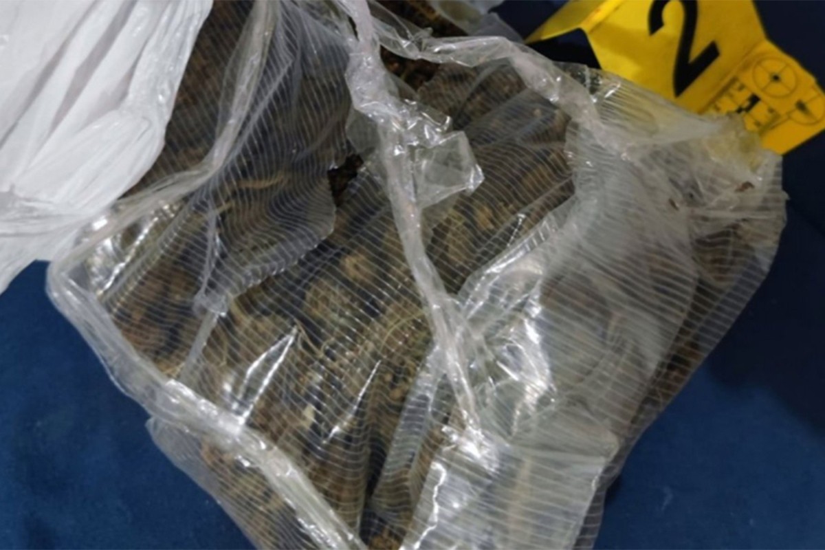 U pretresu kuće pronađena marihuana, uhapšen muškarac iz Ljubuškog