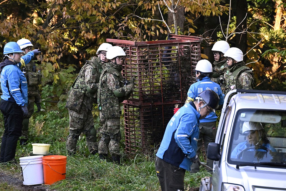 Medvjedi usmrtili 13 osoba, Japan traži pomoć bivših policajaca i vojnika