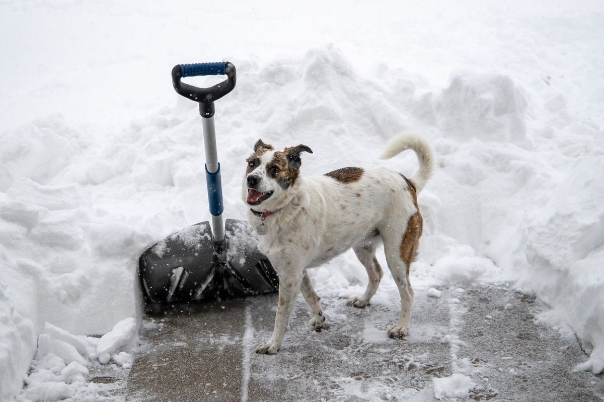 Sela nadomak Jezera zatrpana snijegom, nemaju ni struju