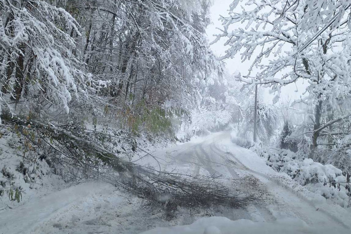 Donja Kola bez struje, vode, put nije očišćen