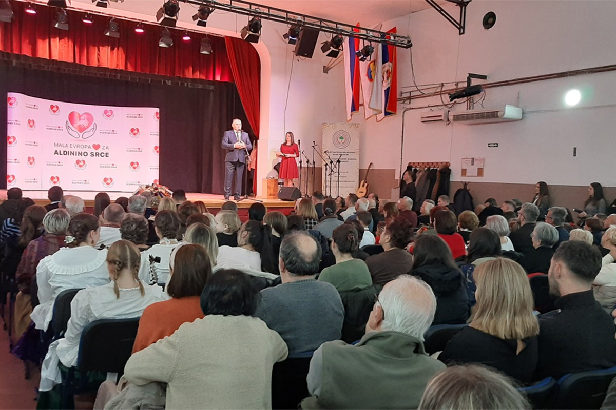 Na festivalu nacionalnih manjina prikupljan novac za liječenje četvorogodišnje Aldine