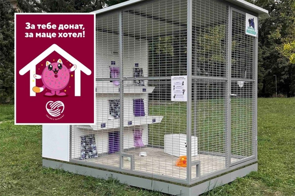 Banjaluka gradi dobru priču: Niču hoteli za mace