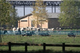 Gordan Pavlović kupio i "Farmland"