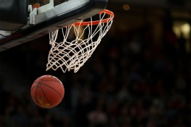 Vic dana: Insekti igrali košarku protiv životinja