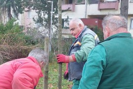 Zasađeno ukrasno drveće na više lokacija u Banjaluci