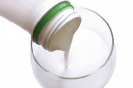 5 namirnica koje su bogate probioticima