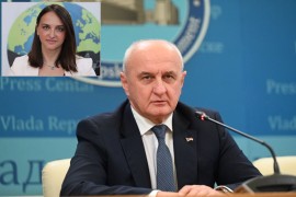Poslanica Grahovac “pecnula” Đokića: Na engleskom ga pitala da li ...