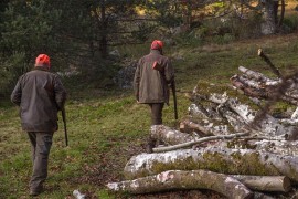 Policija od Drvarčana i Prijedorčanina oduzela tri divlje svinje