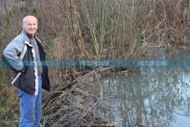 Čudesno vrelo Ilidža u Šaškinovcima preuzeli dabrovi