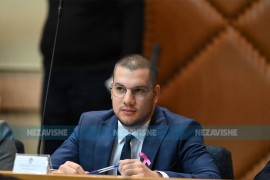 Vučinić tvrdi: Pojedini poslanici iz SNSD za noć prokockaju 100.000 ...