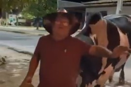 Pijanac nasmijao prolaznike, pogledajte kako ga bik vodi kući