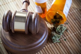 Savjet ministara BiH usvojio odluku: Kanabis legalizovan u medicinske ...