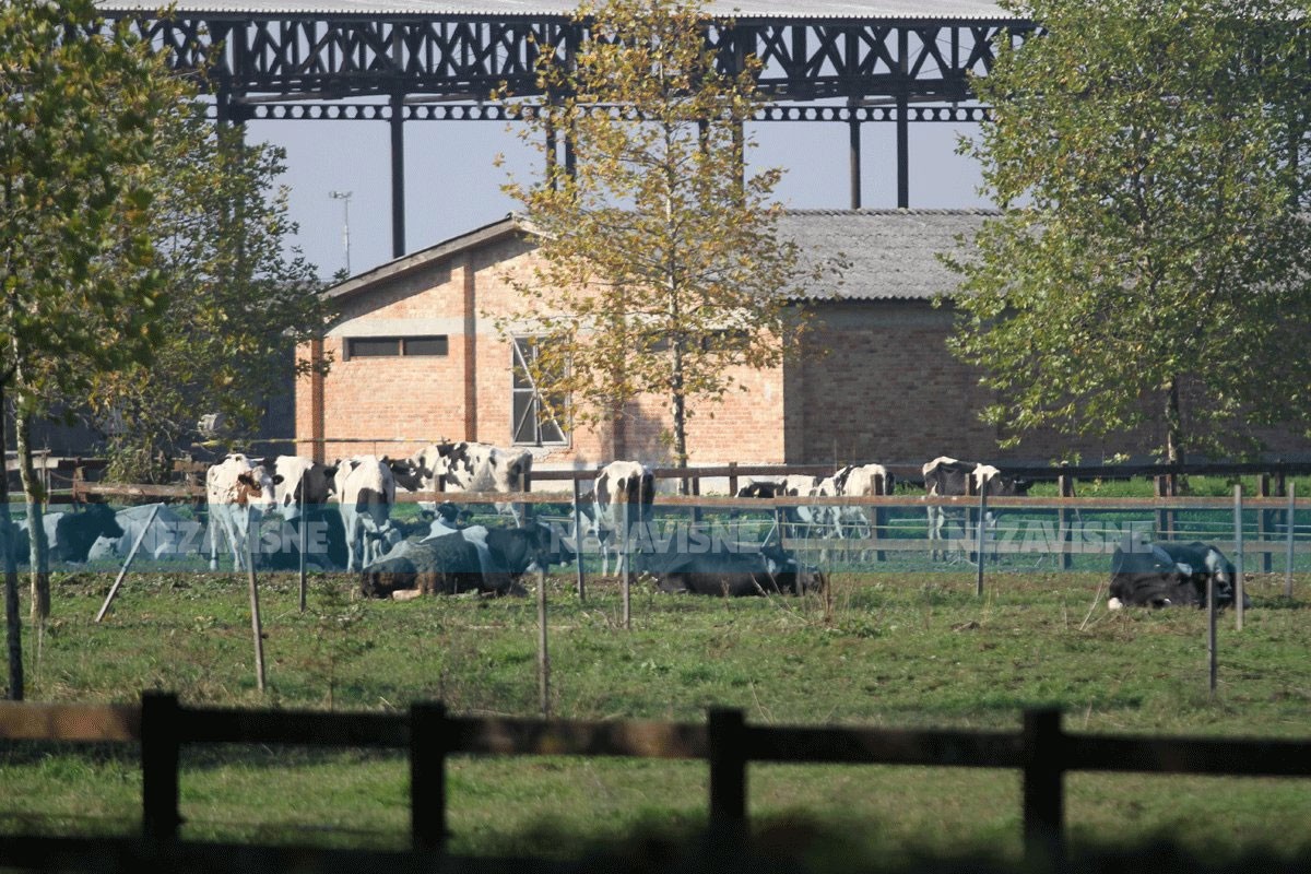 Gordan Pavlović kupio i "Farmland"