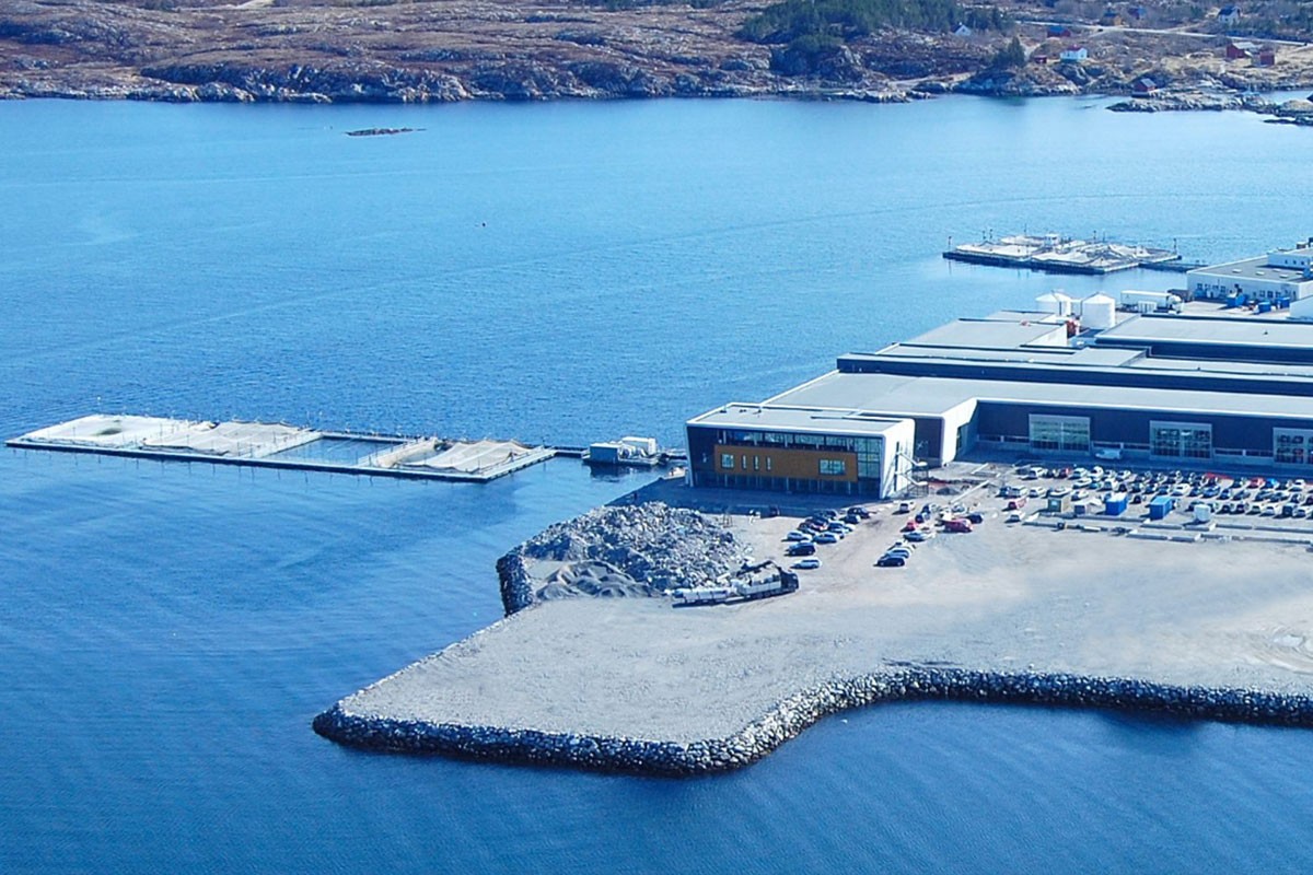 Oglas za posao u Norveškoj postao hit: Plata 3.000 evra, iskustvo nije potrebno