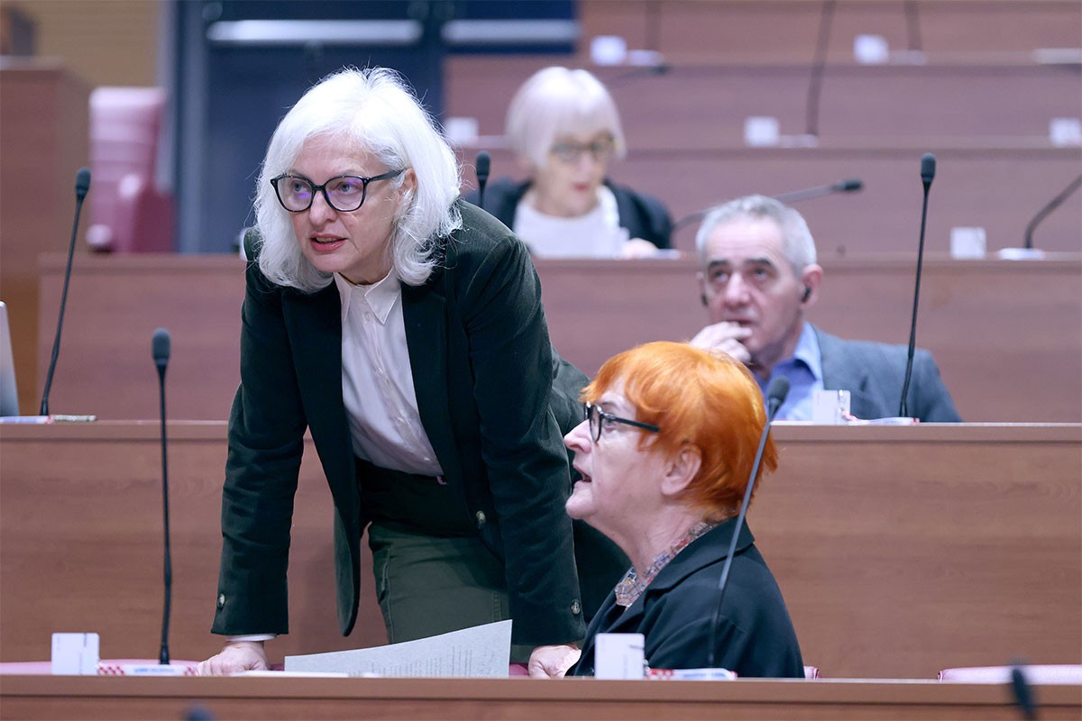 Dušica Radojčić: Šta u slučaju najgoreg scenarija na Trgovskoj gori?