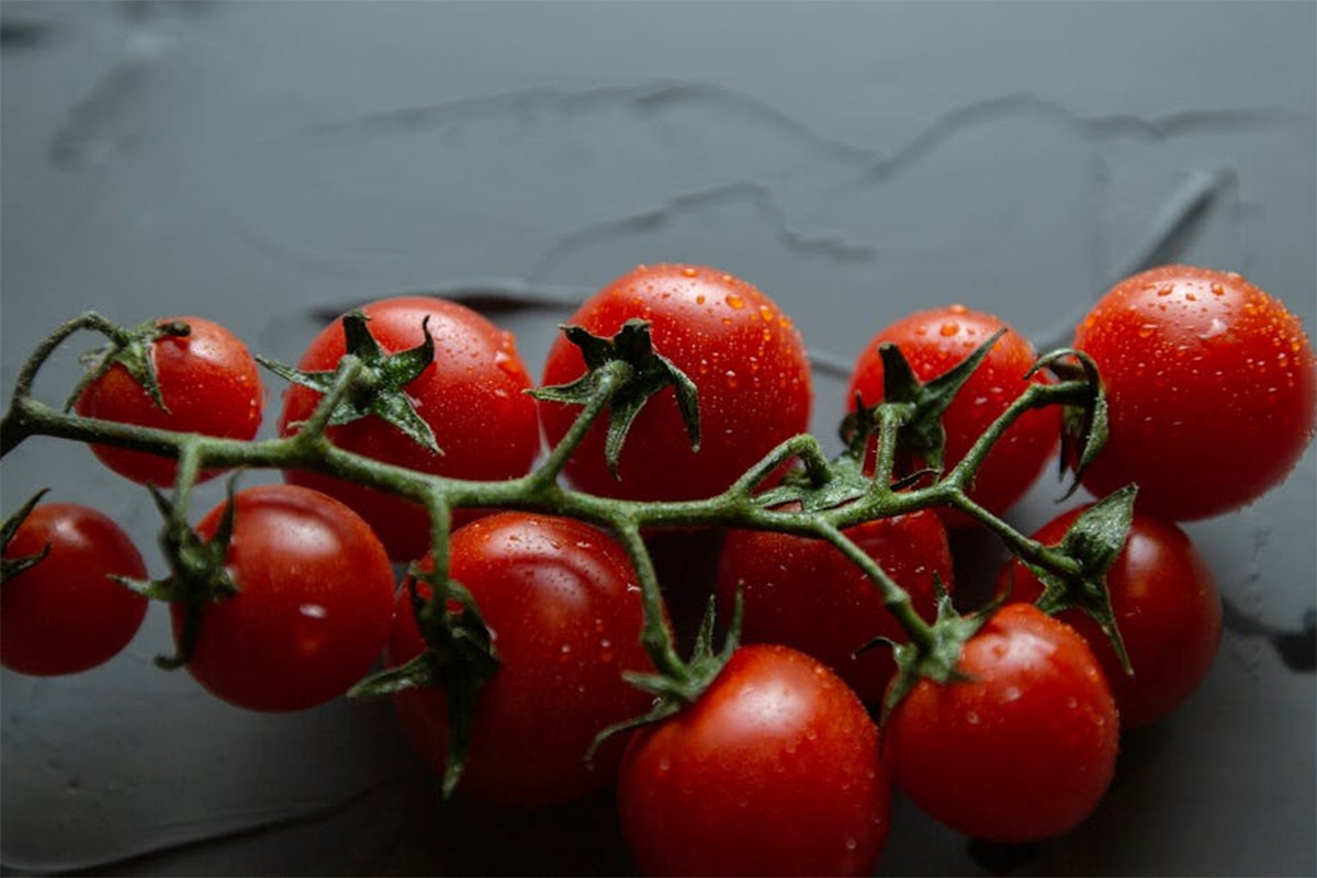 Pun pesticida: Povlači se paradajz sa hrvatskog tržišta