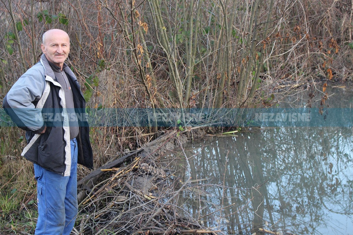 Čudesno vrelo Ilidža u Šaškinovcima preuzeli dabrovi