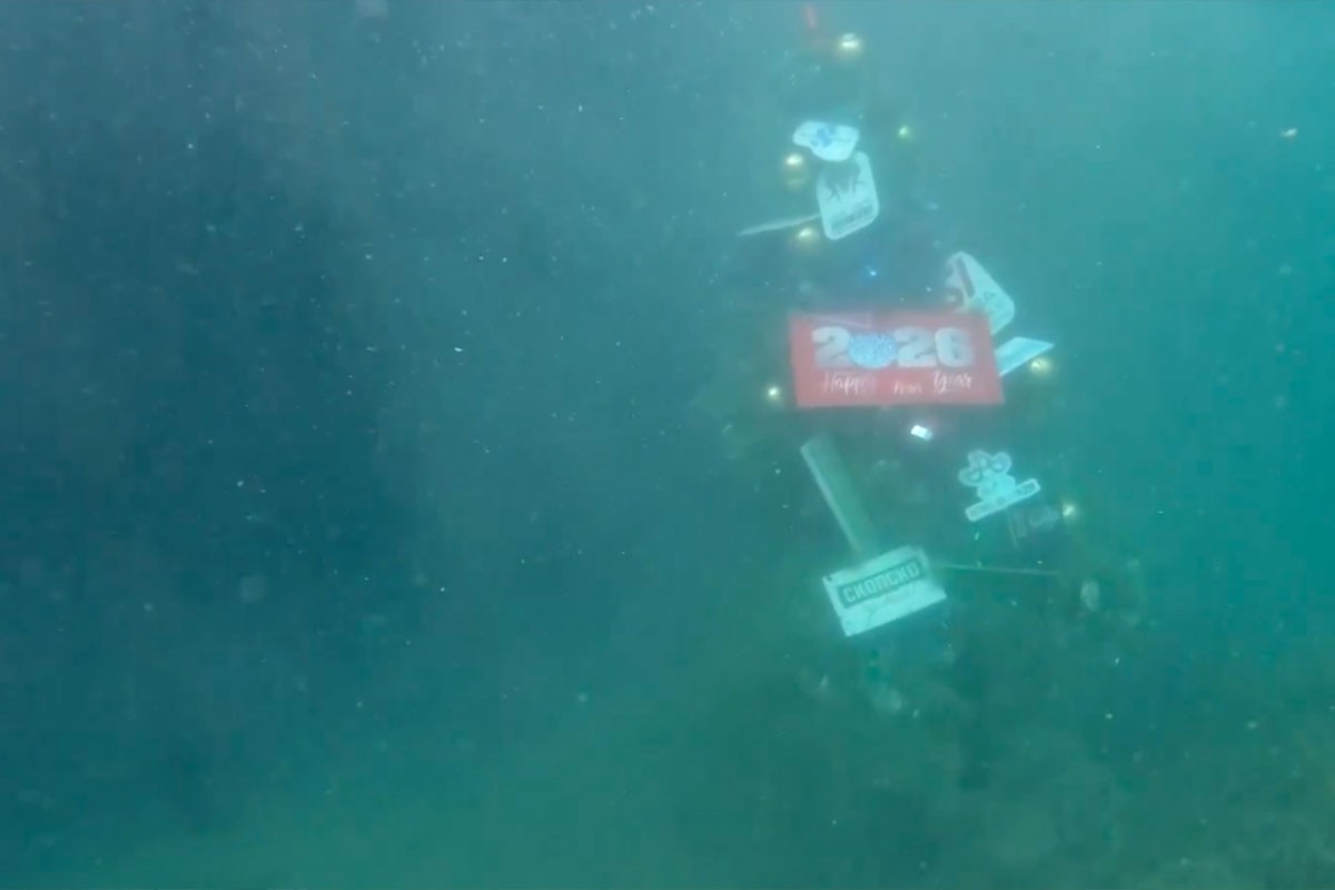 Novogodišnja jelka u Ohridskom jezeru (FOTO, VIDEO)