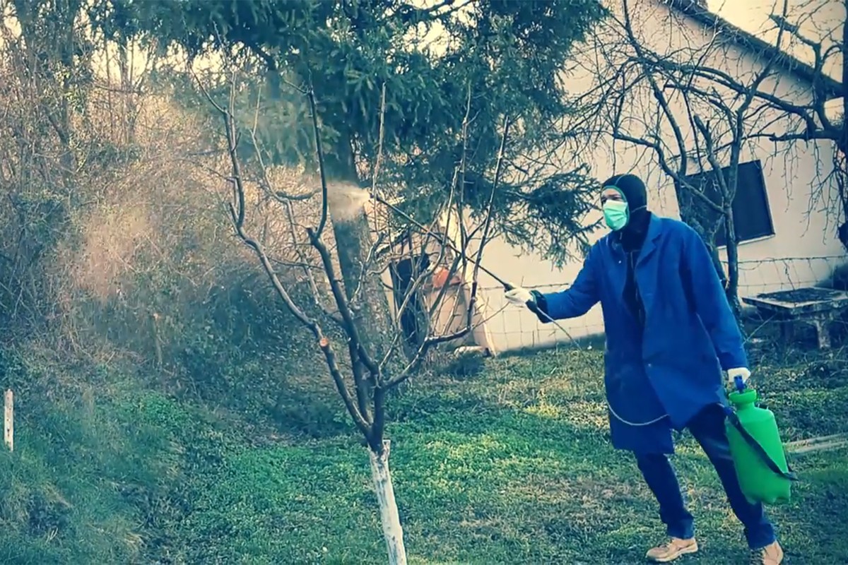 Koje bolesti jabučastog voća sprečavamo plavim prskanjem