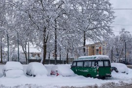 Tragedija u Sarajevu: Palo drvo na ženu, umrla u bolnici