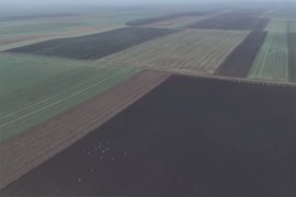 Zemljište godinama devastirano: Kako sačuvati plodnost (VIDEO)
