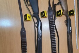 Ciljao psa lutalicu, a ranio brata u Bijelom Polju