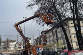 U toku orezivanje stabala na nekoliko lokacija u Banjaluci
