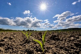 Republički hidrometeorološki zavod Srbije objavio prognozu do jula