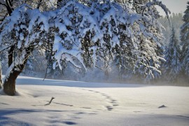 Zahlađenje za vikend, pa nagli porast temperatura u BiH