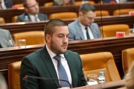 Drinić: Građani ne zaslužuju da budu kažnjeni zbog političkih ...