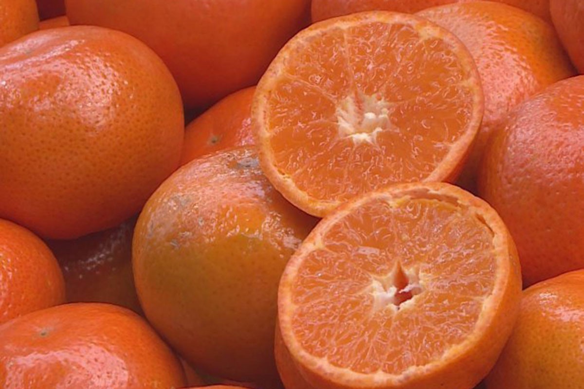 Iskoristite mandarine i napravite koktel sa džinom