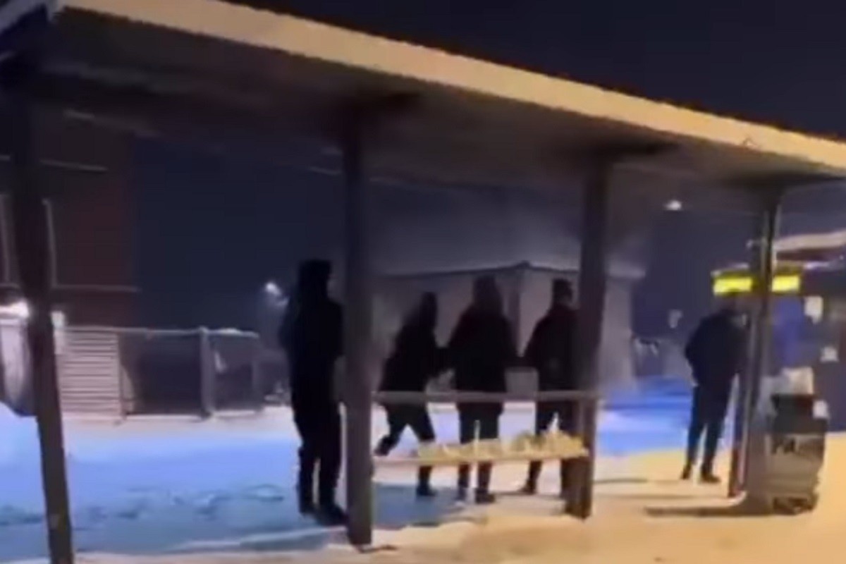 Gađali vozača autobusa grudvama, on izašao sa šipkom u rukama (VIDEO)