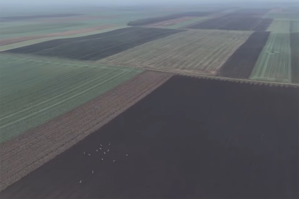 Zemljište godinama devastirano: Kako sačuvati plodnost (VIDEO)