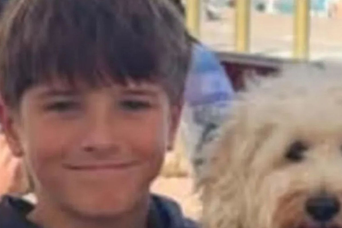 Horor u Sidneju: Mali Niko Antić (12) se bori za život, napala ga ajkula