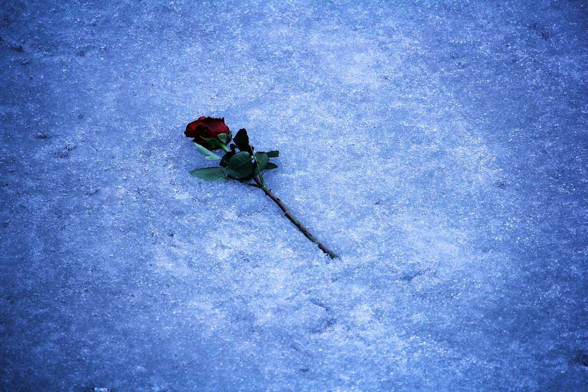 Umrla je "Moja Milena", heroina popularne pjesme iz bivše Jugoslavije