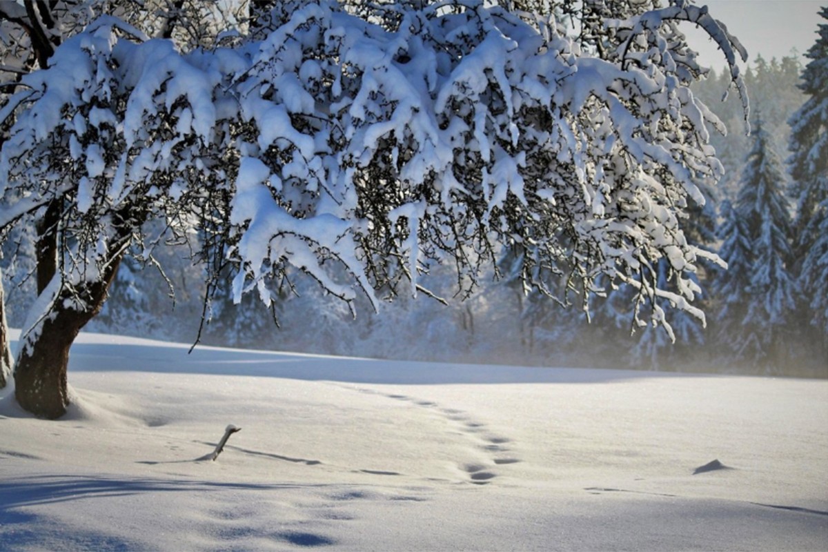 Zahlađenje za vikend, pa nagli porast temperatura u BiH