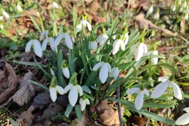 Za ova tri znaka februar će biti najduži mjesec u životu