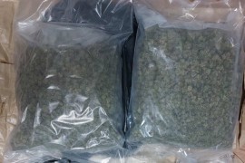 Hapšenje u Beogradu, zaplijenjeno 2,6 kilograma marihuana