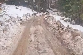 Narodni poslanik objavio u kakvom je stanju alternativni put ...