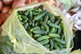 Nove tehnologije i mjere zaštite u proizvodnji kornišona